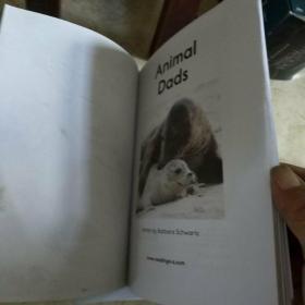 LEVELED BOOK -F Animal Dads（81）册合售