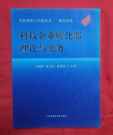 科技企业孵化器理论与实务