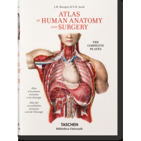 Bourgery Atlas Of Human Anatomy And Surgery 布尔热里人体解剖学和外科手术 艺术书籍