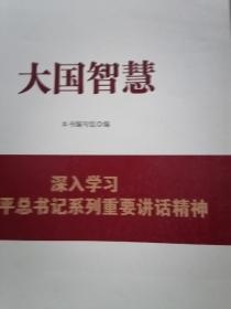 大国智慧：深入学习习近平总书记系列重要讲话精神