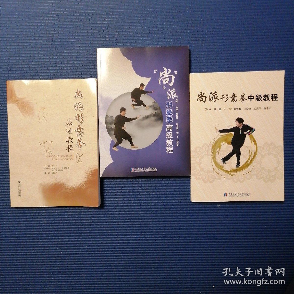 尚派形意拳 基础 中级 高级教程 3册全