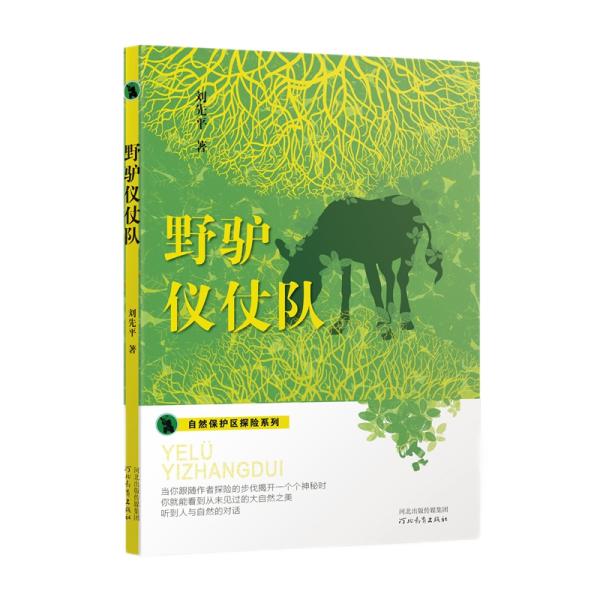 自然保护区探险系列——野驴仪仗队