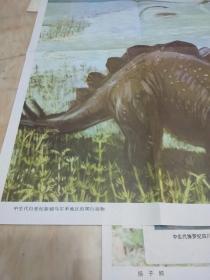 老画家周西芹绘的初中生物教学挂图：中生代白垩纪新疆乌尔禾地区的爬行动物（此为对开挂图，宽77厘米，高53厘米；画有魏氏准噶尔翼龙、平坦乌尔禾龙、威远中国上龙、鳄、龟等5种爬行动物）