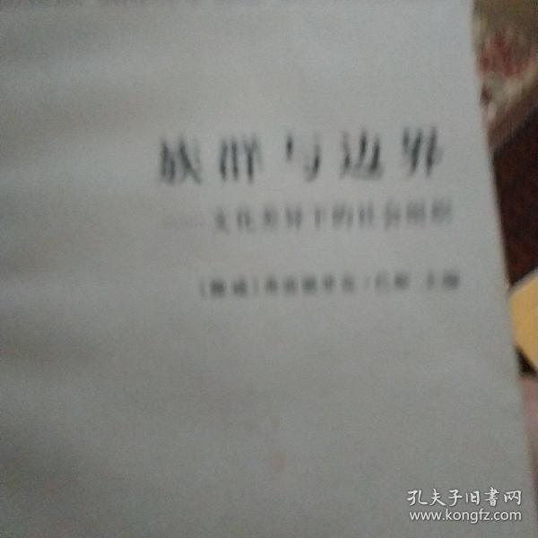 族群与边界：文化差异下的社会组织