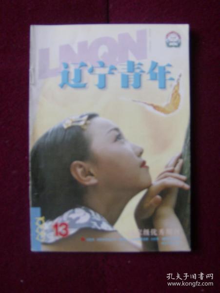 辽宁青年1999年第13期