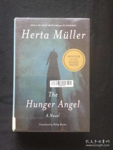 The Hunger Angel：A Novel