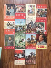 农村支部生活1965（1,3,5,6,11,12,13,14,15,16,17,19,21,24）十四册合售，详情请见图