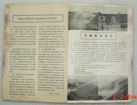 茶叶科技简报  1975年第6期   茶叶  科技简报