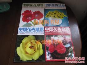 《中国花卉盆景》24本合售 ：2008年第10期；2009年第2、6、8、12期；2010年第10期，2011年第1、4、5、6、9、12期，2012年第2、5、6、7、8、9、10、11期，2013年第5、6、9、10期