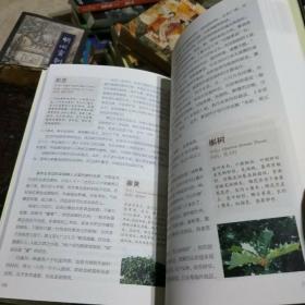 阆苑仙葩，美玉无瑕：红楼梦植物图鉴