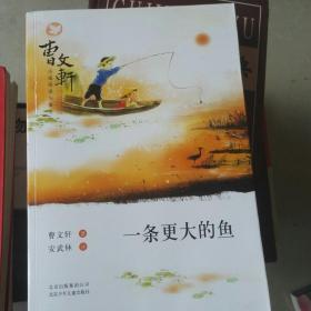 曹文轩小说阅读与鉴赏：一条更大的鱼