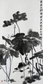 张家会  花鸟  荷花