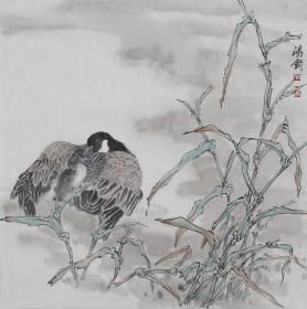 刘鸿钧  工笔  花鸟
