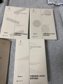 中国的新型非正规经济：实践与理论、中国的新型正义体系：实践与理论、中国的新型小农经济：实践与理论