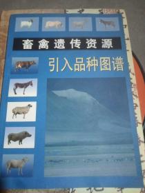 畜禽遗传资源引入品种图普