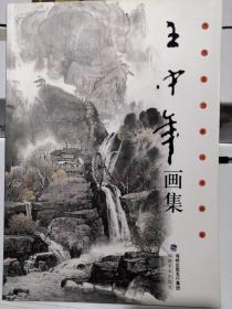王中年画集
