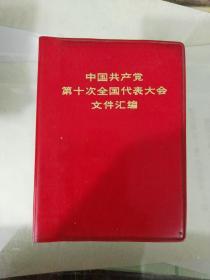 中国共产党第十次全国代表大会文件汇编（14）