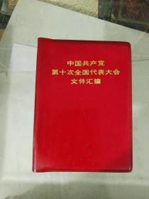 中国共产党第十次全国代表大会文件汇编（19）