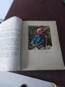 大16开【彩色舞台艺术照片.蔡文姬】