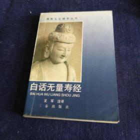 白话无量寿经