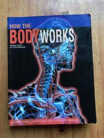 HOW THE BODY WORKS
