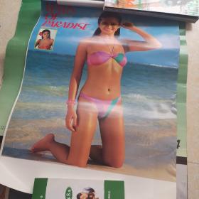 VENUS OF PARADISE 挂历1989