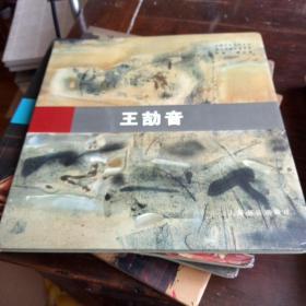 上海艺术沙龙丛书 海上油画名家实录 :王劼音 (一版一印 3000册）