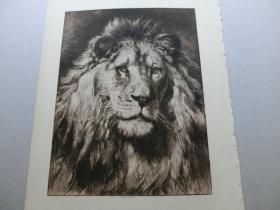 【百元包邮】《狮王的威严》（HIS ROYAL HIGHNESS） 1892年 蚀刻版画  源自艺术日志  纸张尺寸约32×23厘米（编号AJ0336）