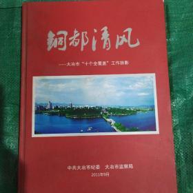 铜都清风\大冶市十个全覆盖工作掠影