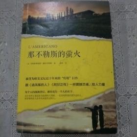 那不勒斯的萤火（被誉为欧美文坛近十年来的“灯塔”巨作，跟《追风筝的人》《阿甘正传》一样震撼灵魂、给人力量。）