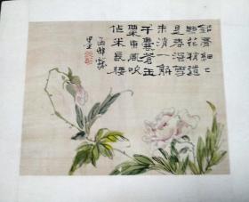 清代佚名绢本花卉小品