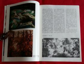 江苏画刊 [第七届全国美术展览作品选 (李岩作静晌，常进作地久天长，刘幽莎作有羊地山坡，李彤作春去秋来，王赞作辛亥七十八年祭，唐勇力作历史不能忘却--为纪念鸦片战争一百五十周年，郭明堂作山情，李璋作灯，林海钟作高唐遗地考，段少军作春恋，韦红燕作红林子，梁文博作家园，张培成作微风)，杨其铮作紫秋，朱修立作江南水乡，杜雪松作孤灯寒楼]·