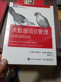 大数据项目管理从规划到实现