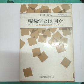 什么是现象学 胡塞尔日本版新田义弘（V184）