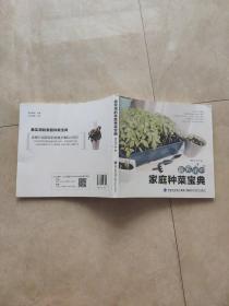 最实用的家庭种菜宝典