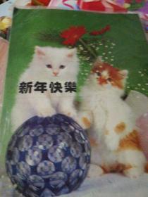 贺卡(猫)