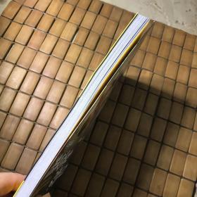 口袋神探（有瑕疵如图）