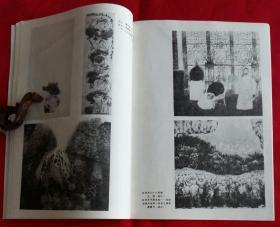 江苏画刊 [第七届全国美术展览作品选 (李岩作静晌，常进作地久天长，刘幽莎作有羊地山坡，李彤作春去秋来，王赞作辛亥七十八年祭，唐勇力作历史不能忘却--为纪念鸦片战争一百五十周年，郭明堂作山情，李璋作灯，林海钟作高唐遗地考，段少军作春恋，韦红燕作红林子，梁文博作家园，张培成作微风)，杨其铮作紫秋，朱修立作江南水乡，杜雪松作孤灯寒楼]·