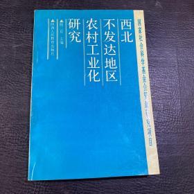 西北不發(fā)達(dá)地區(qū)農(nóng)村工業(yè)化研究