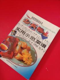 实用示范菜谱——实用烹饪技术丛书