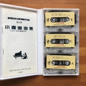 磁带160: 小奏鸣曲集·钢琴演奏雷波·钢琴教材示范演奏及欣赏（3磁带+1书）