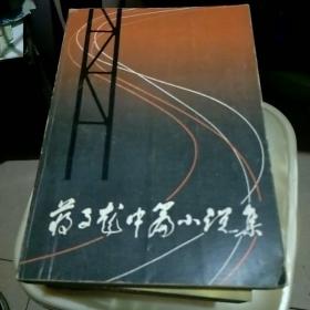 蒋子龙中篇小说选
