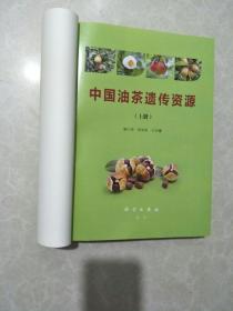 中国油茶遗传资源（套装上下册）无封面