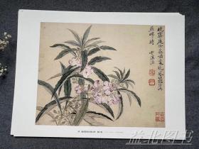 历代名绘真赏：恽寿平册页精选 【8开单片盒装】110幅花鸟画集