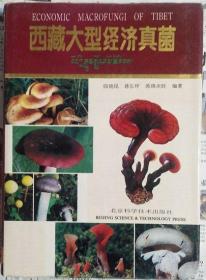 西藏大型经济真菌（硬精装）