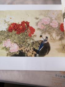 荣华富贵画牡丹