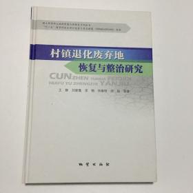 村镇退化废弃地恢复与政治研究