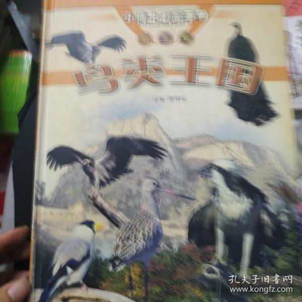 小博士观察手册 彩图版 鸟类王国，史前生物，海洋世界，哺乳动物共4本合售