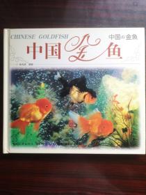 中国金鱼2－2－0－0