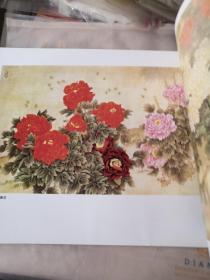 荣华富贵画牡丹